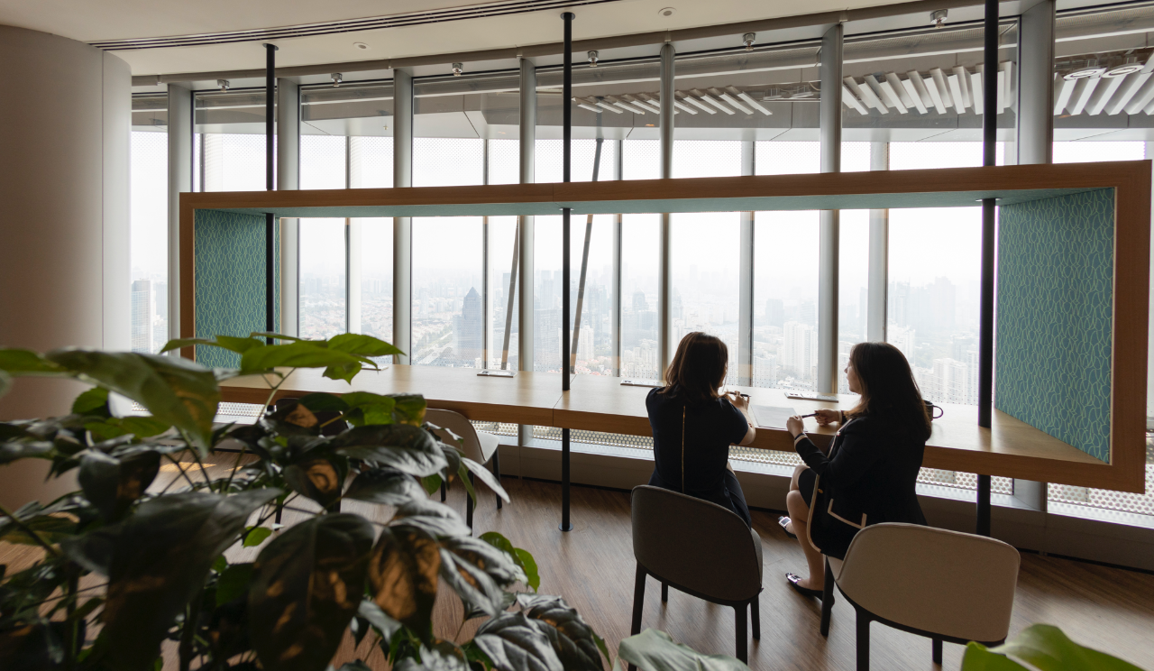 director advisory services
