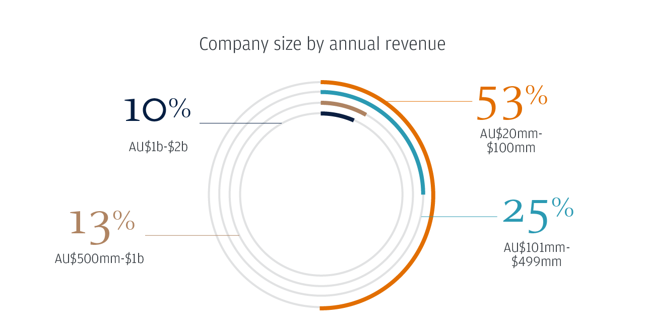 Company size by annual revenue
