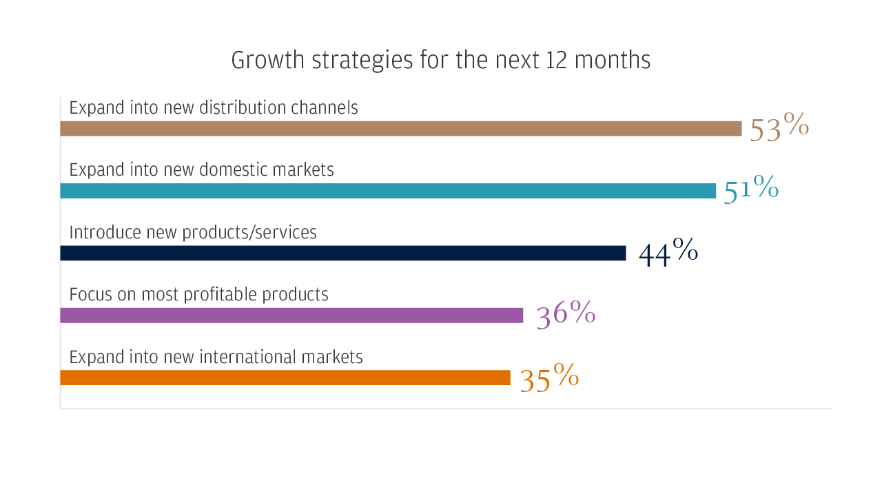 Growth strategies for the next 12 months