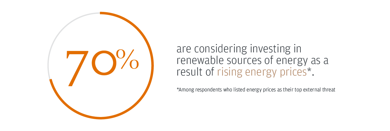 70% are considering investing in renewable sources of energy as a result of rising energy prices*