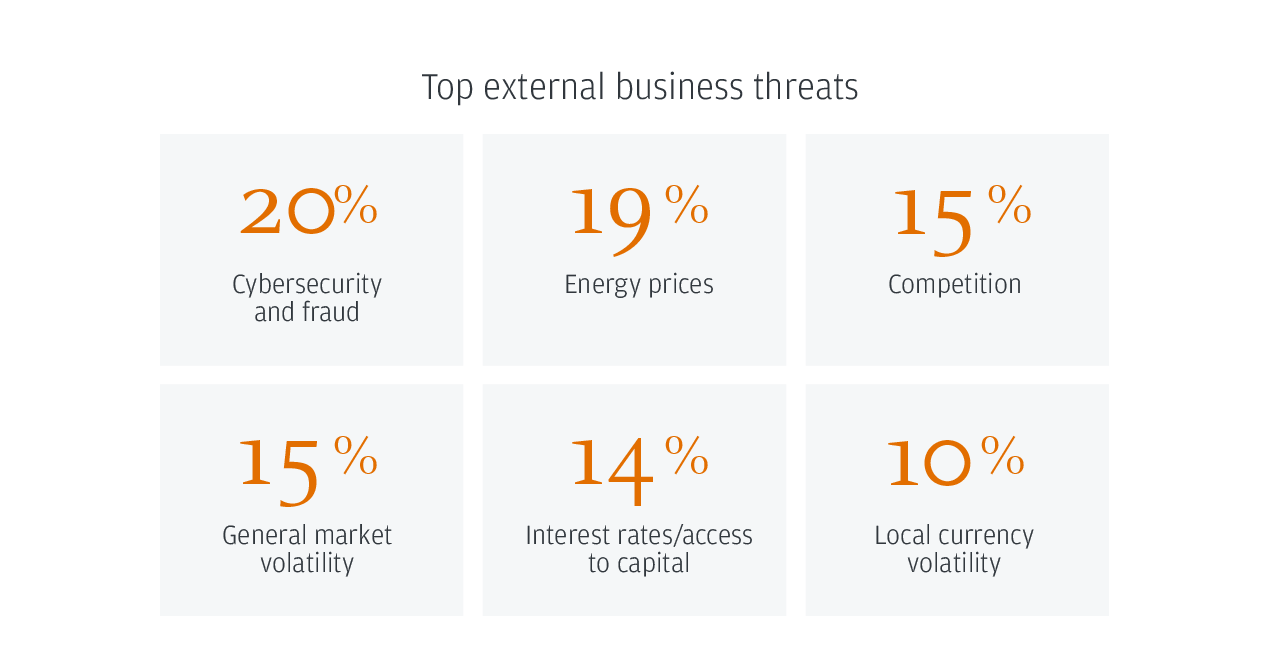 Top external business threats