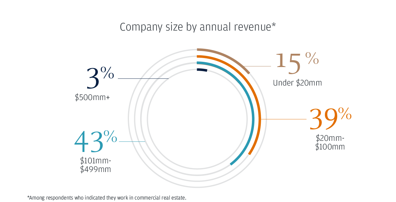 Company size by annual revenue