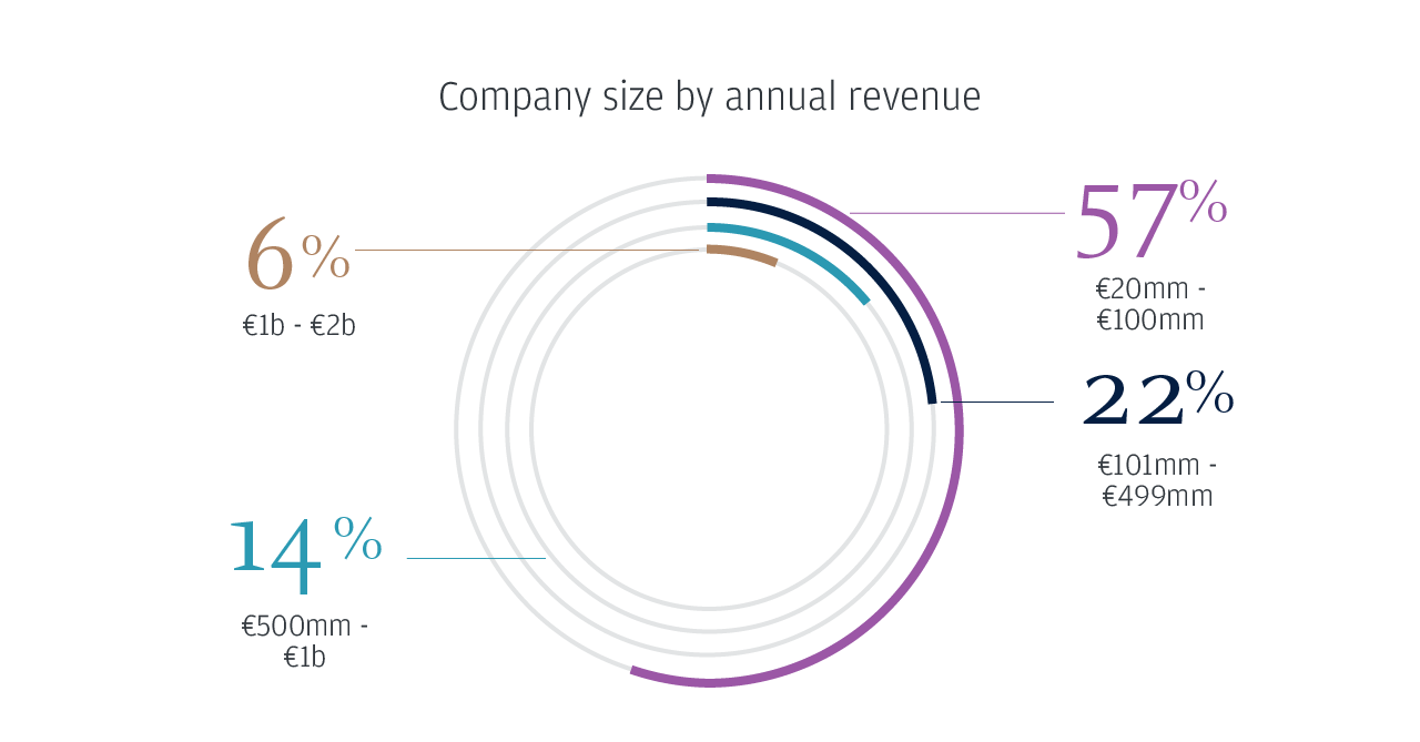 Company size by annual revenue