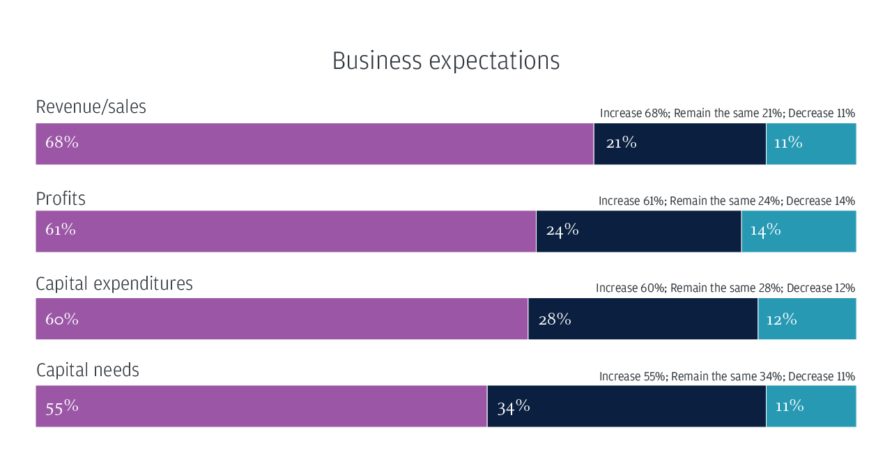 Business expectations