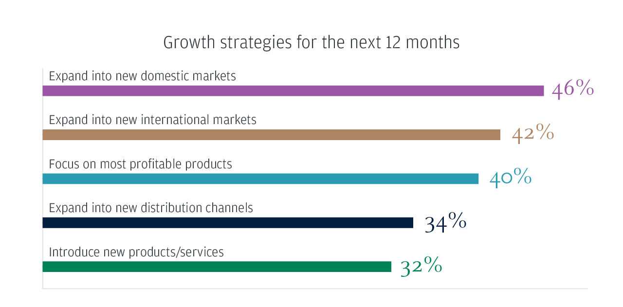 Growth strategies for the next 12 months