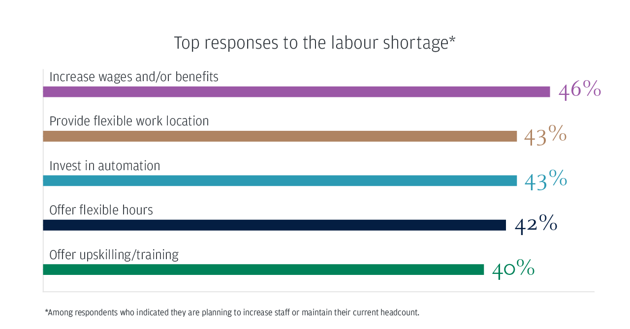 Top responses to the labour shortage*