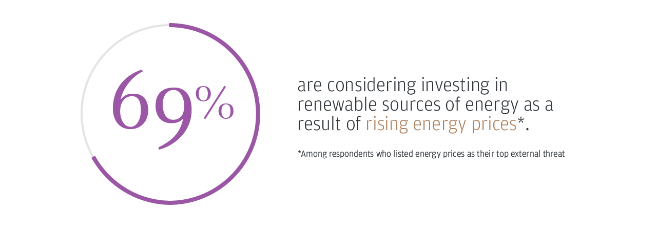 69% are considering investing in renewable sources of energy as a result of rising energy prices