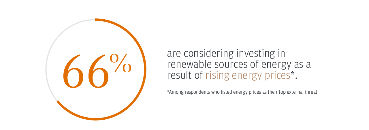 66% are considering investing in renewable sources of energy as a result of rising energy prices*