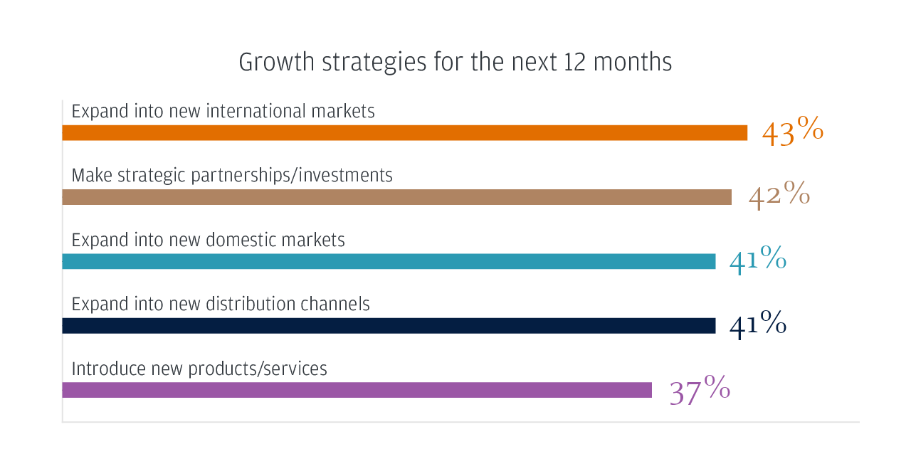 Growth strategies for the next 12 months