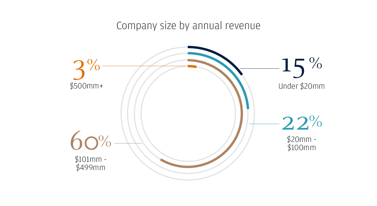 Company size by annual revenue