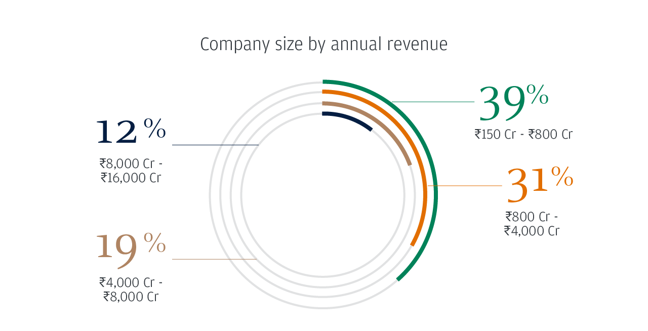 Company size by annual revenue