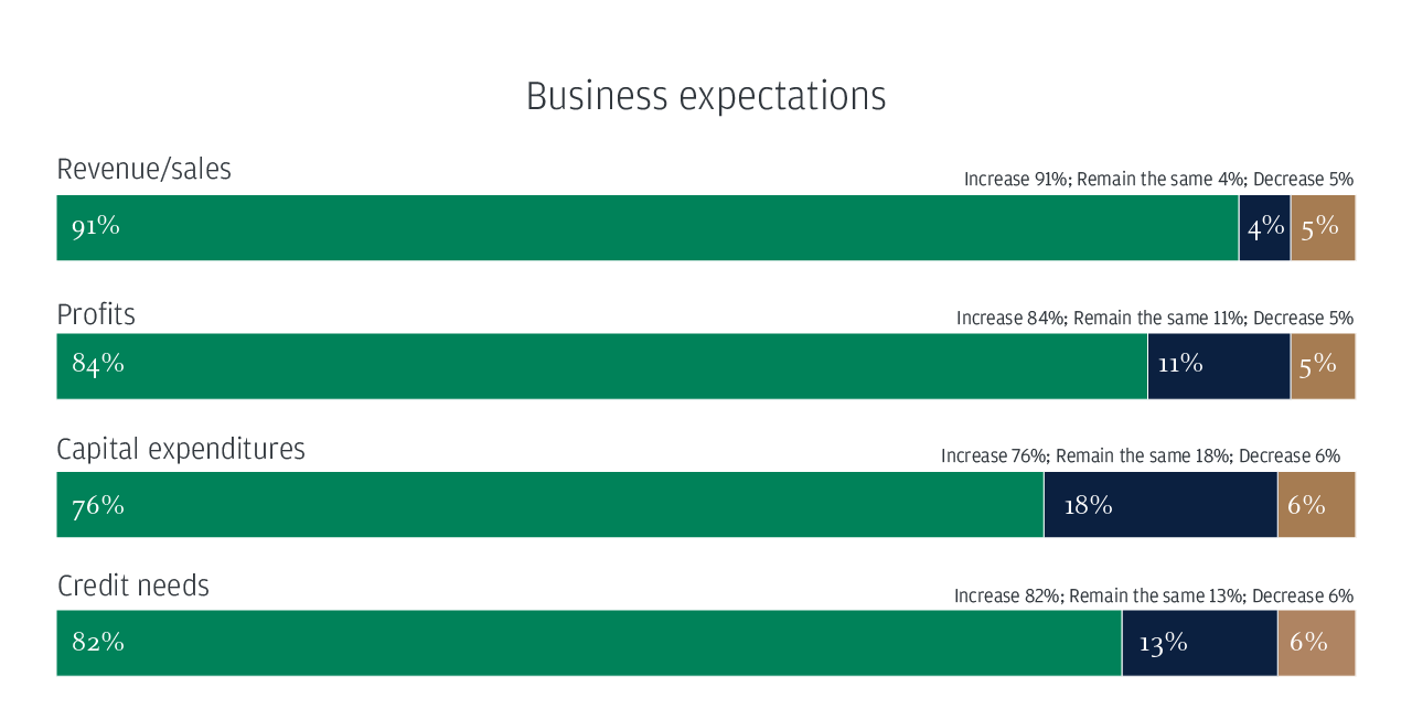 Business expectations