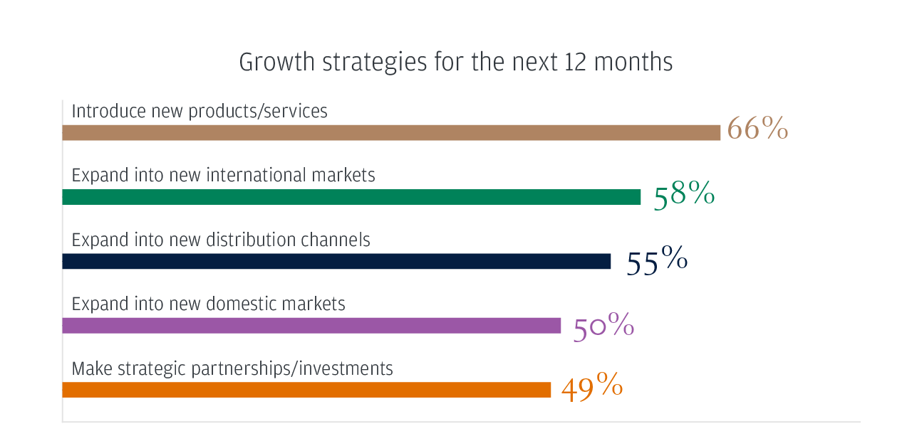Growth strategies for the next 12 months