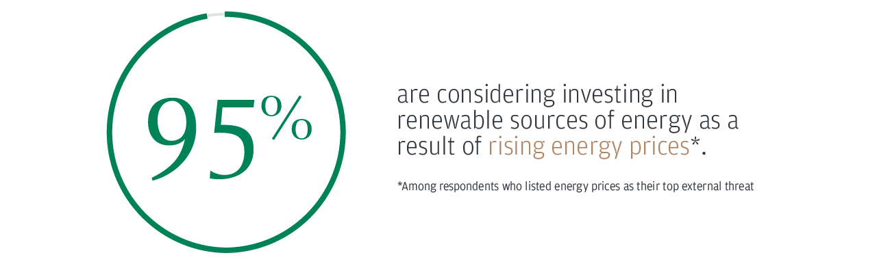 95% are considering investing in renewable sources of energy as a result of rising energy prices*