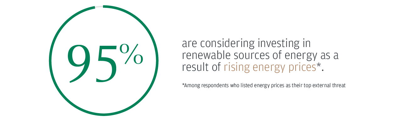 95% are considering investing in renewable sources of energy as a result of rising energy prices