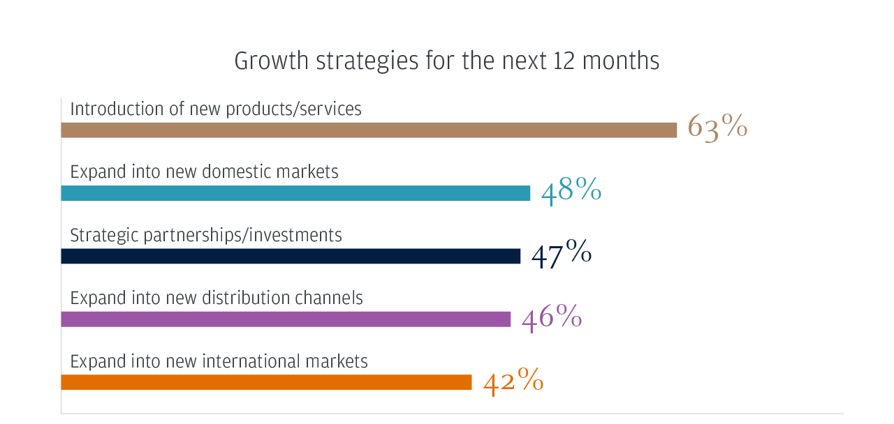 Growth strategies for the next 12 months