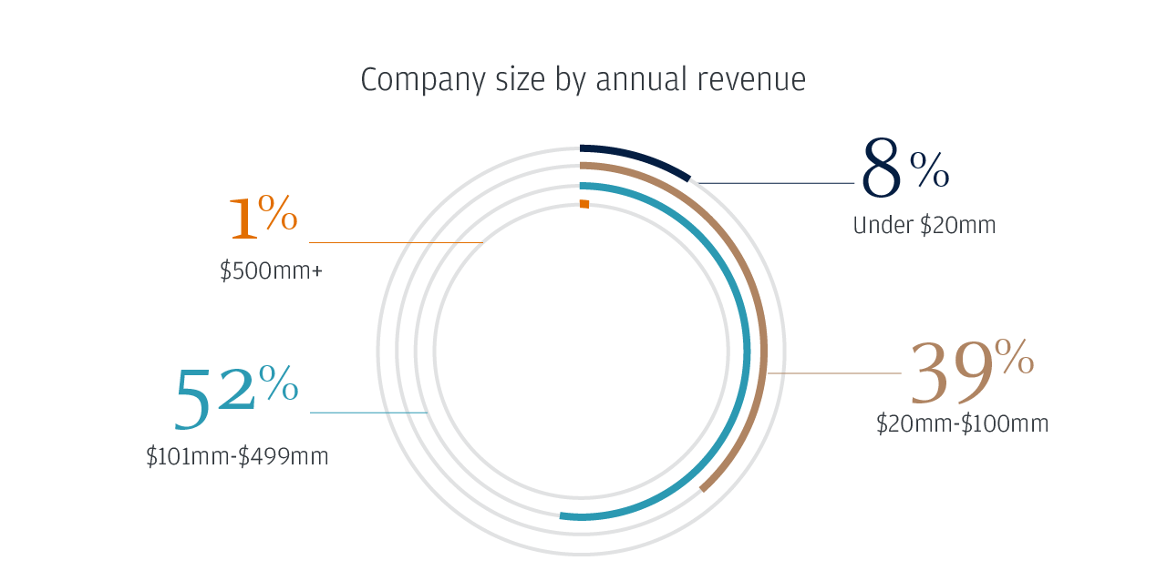 Company size by annual revenue