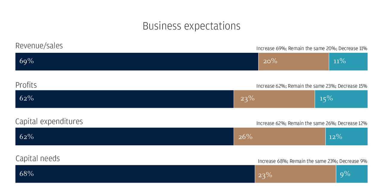 Business expectations