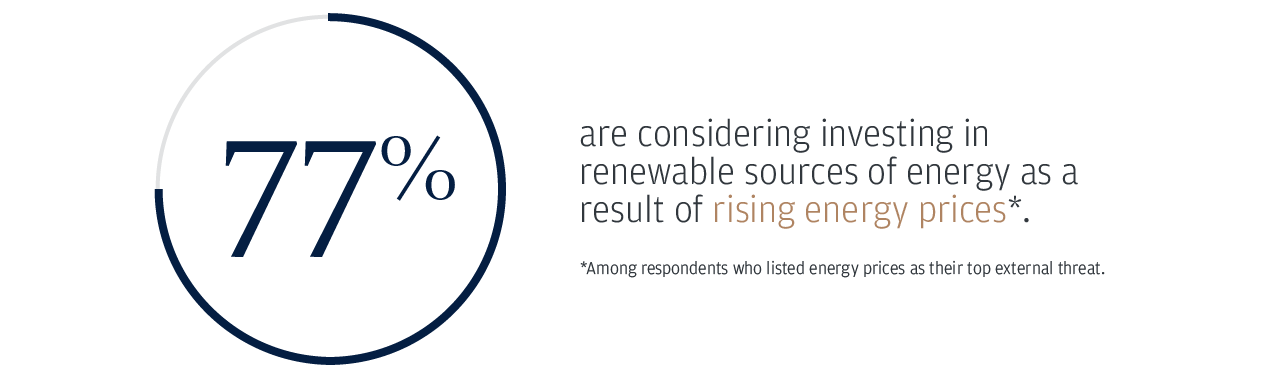 77% are considering investing in renewable sources of energy as a result of rising energy prices