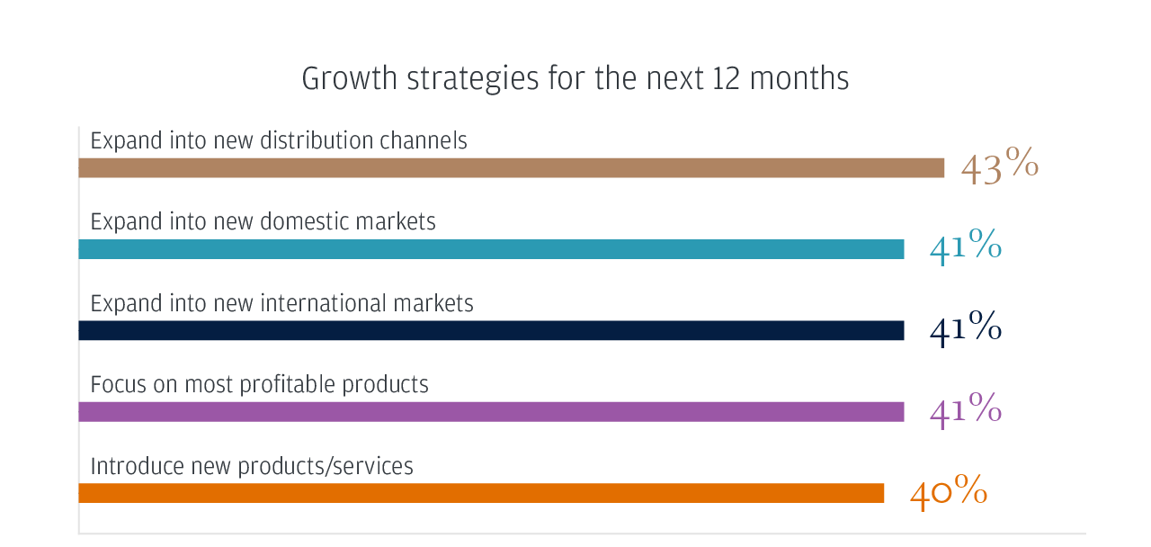 Growth strategies for the next 12 months