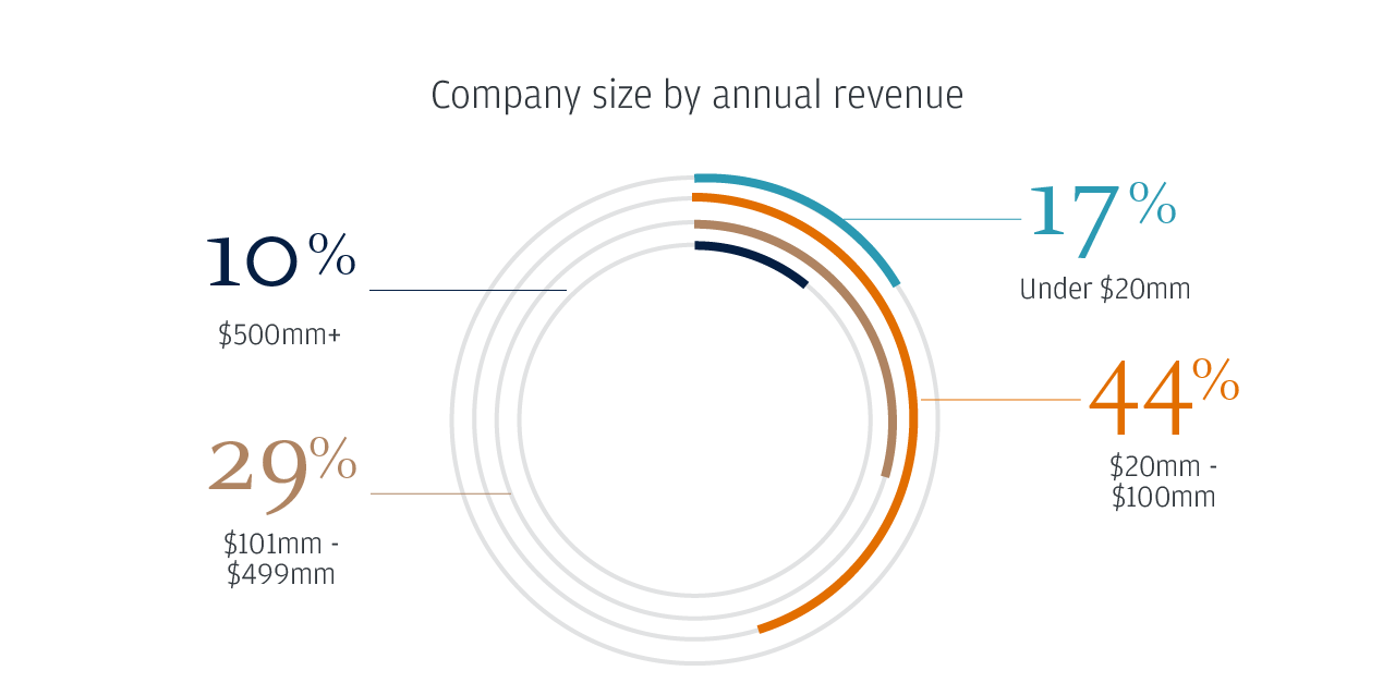 Company size by annual revenue