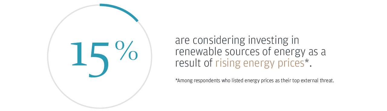 15% are considering investing in renewable sources of energy as a result of rising energy prices*