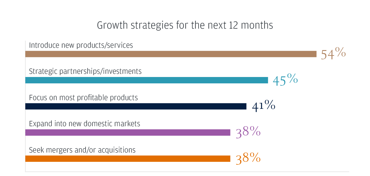 Growth strategies for the next 12 months