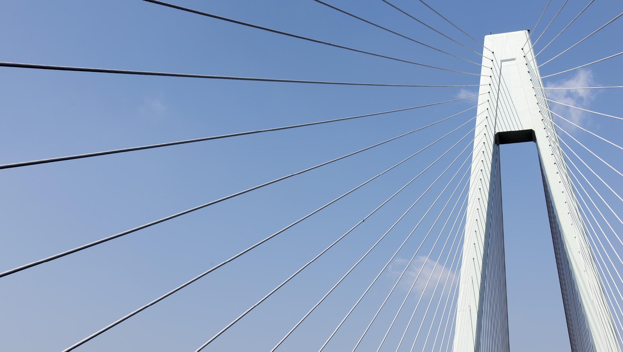 Bridge with cables