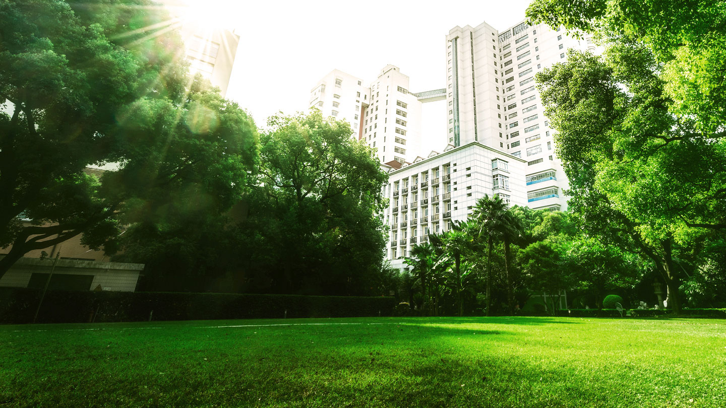 Park with building in background