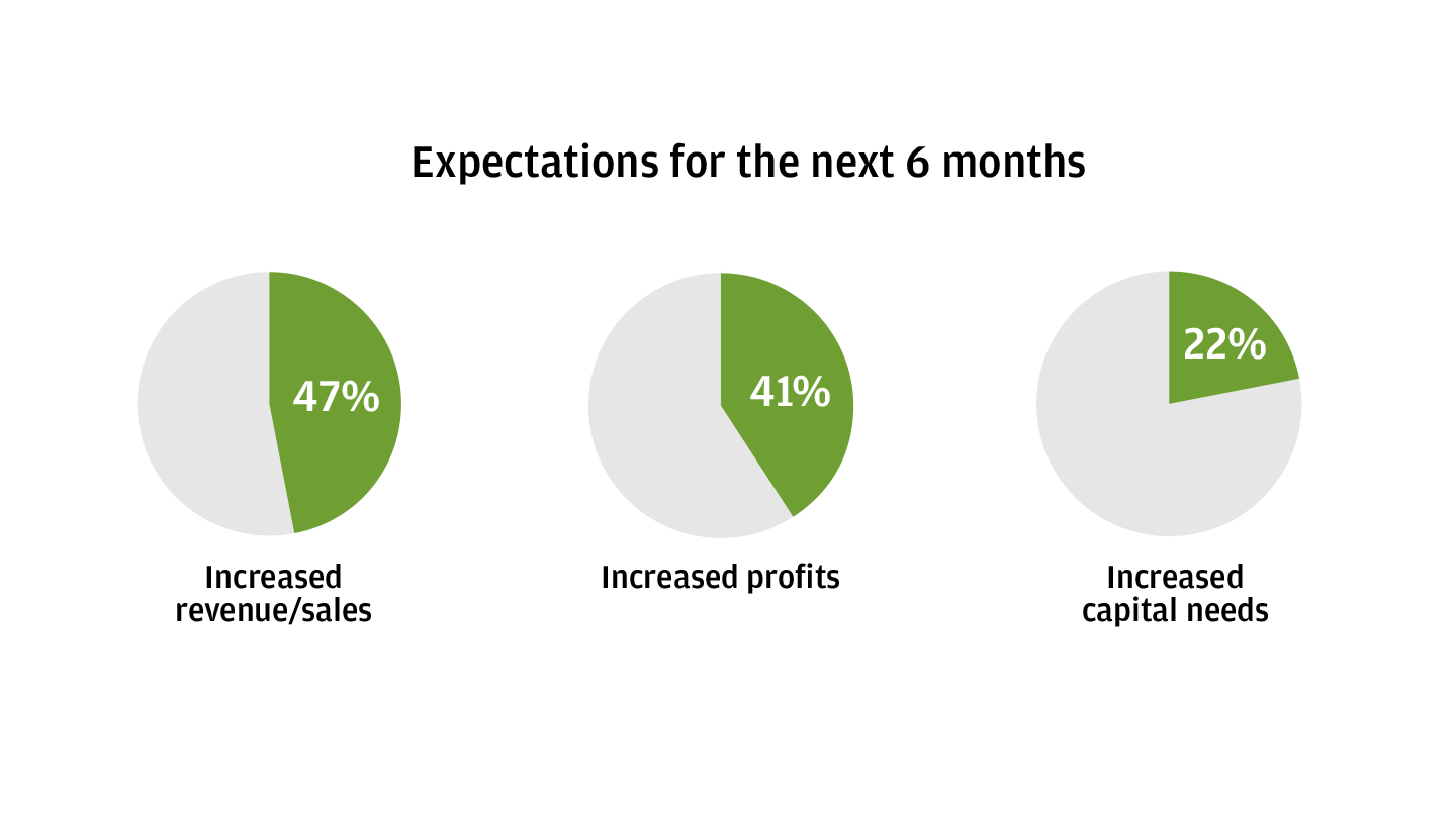 2020 Business Leaders Outlook Midyear Pulse Survey - Expectations for Next 6 Months