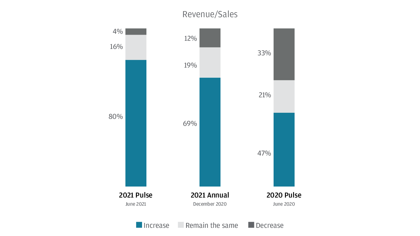 Revenue/Sales Bar Graph