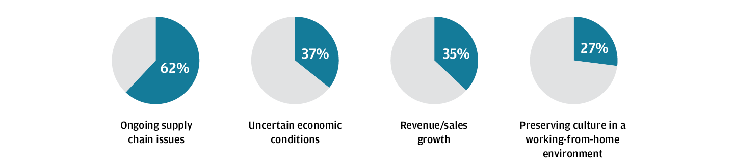 Top Business Challenges in the Next 6 - 12 Months Chart