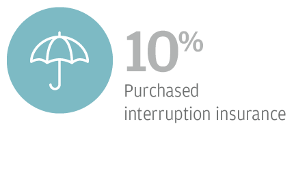 10% Purchased interruption insurance