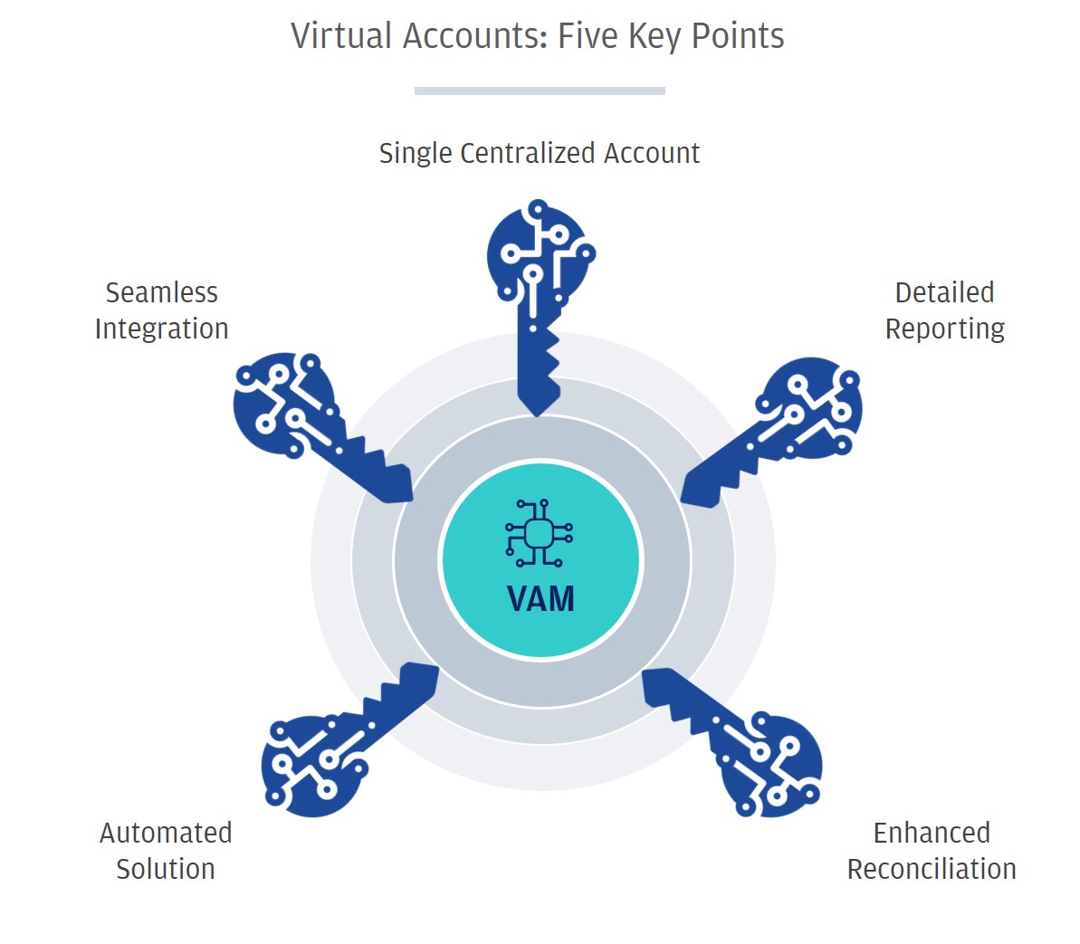 Virtual Accounts Five Key Points