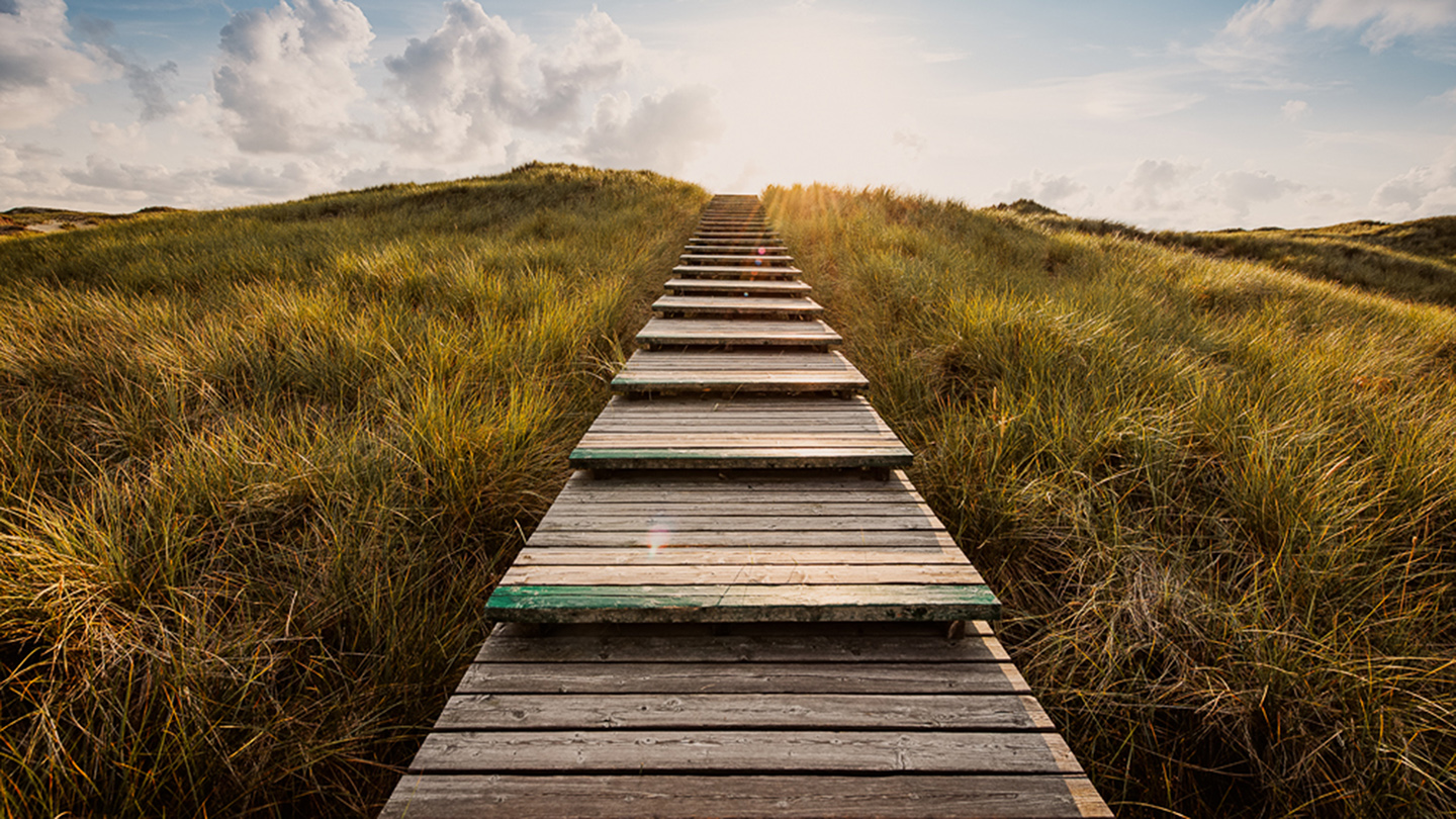 Boardwalk through the dunes, Amrum, Germany