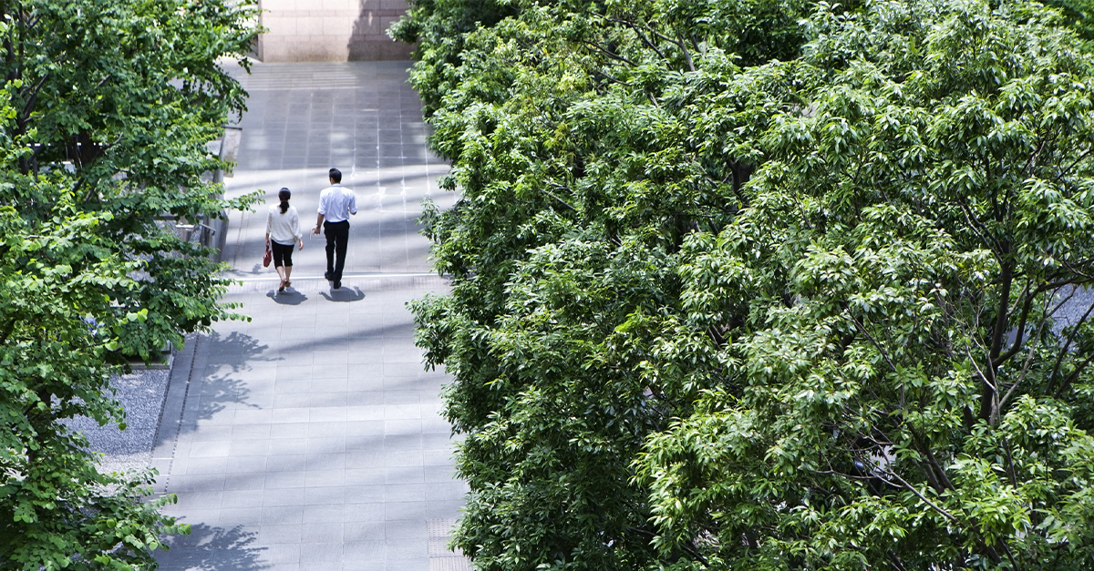 A business man and woman walking on a passage among trees together.