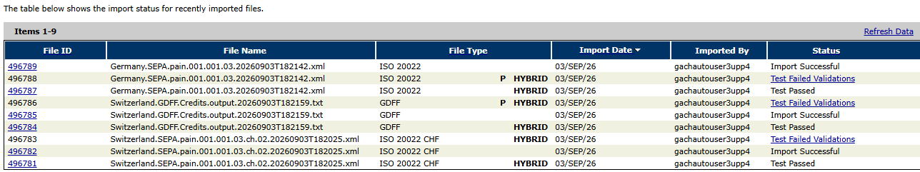 Hybrid Option
