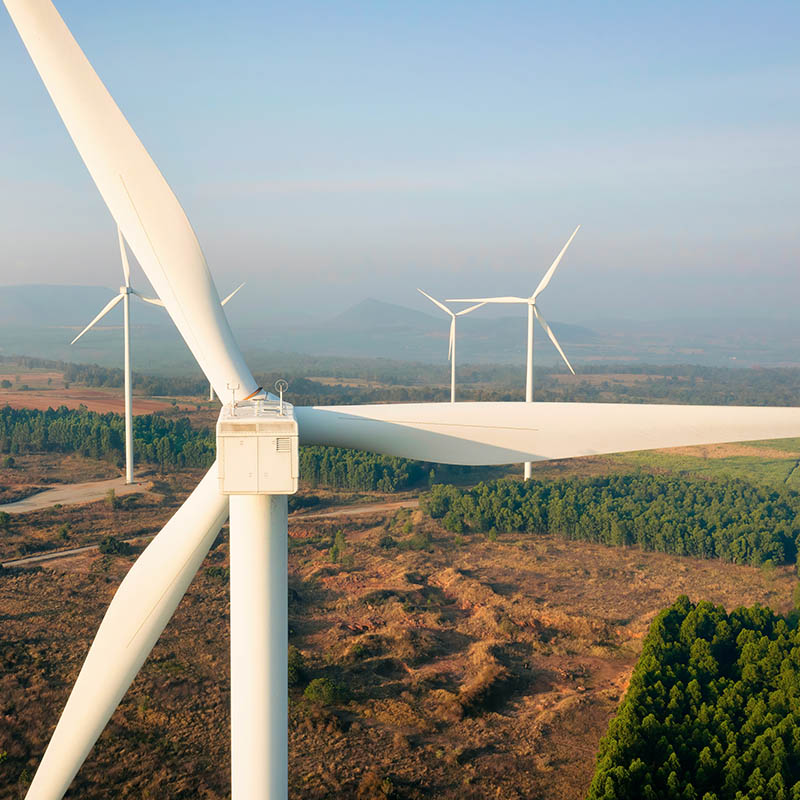 Multiple windmills in a field