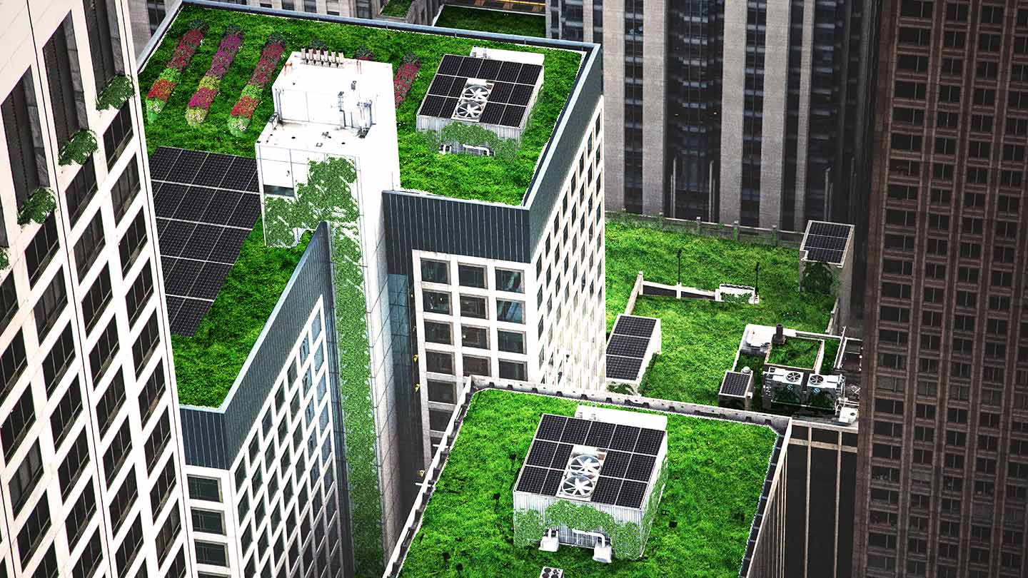 Building with green roof