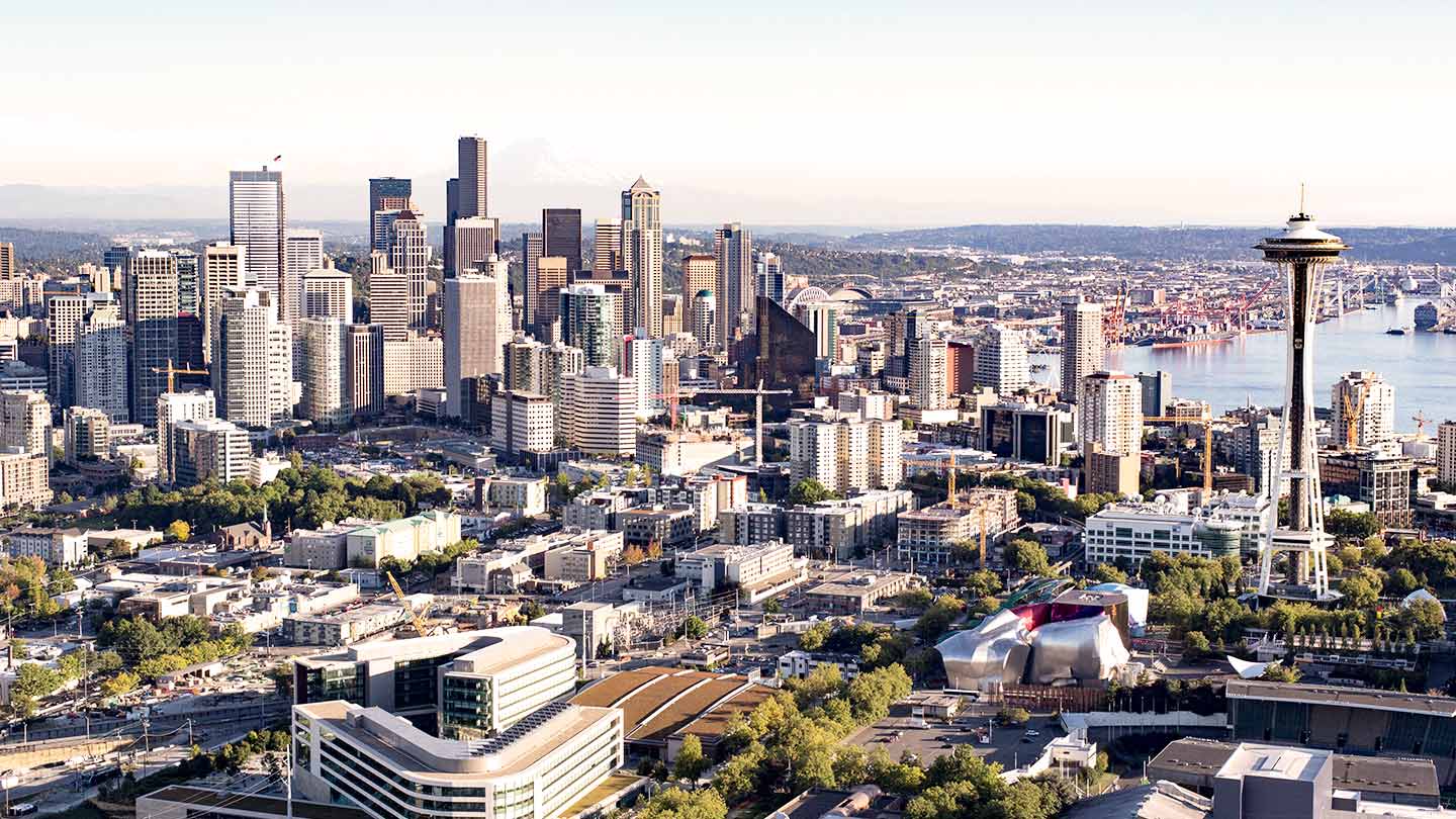 Seattle Skyline banner