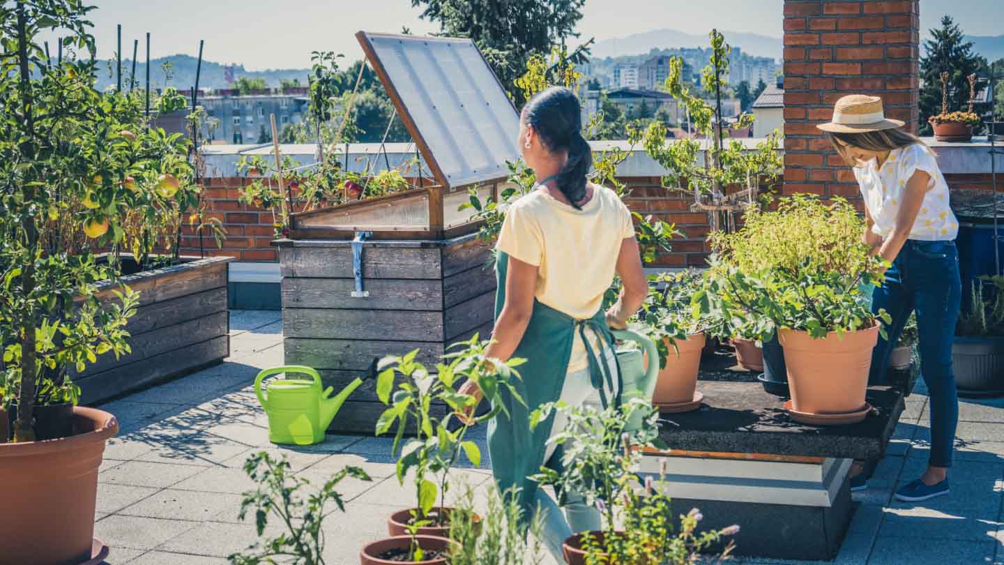 Women working in rooftop garden