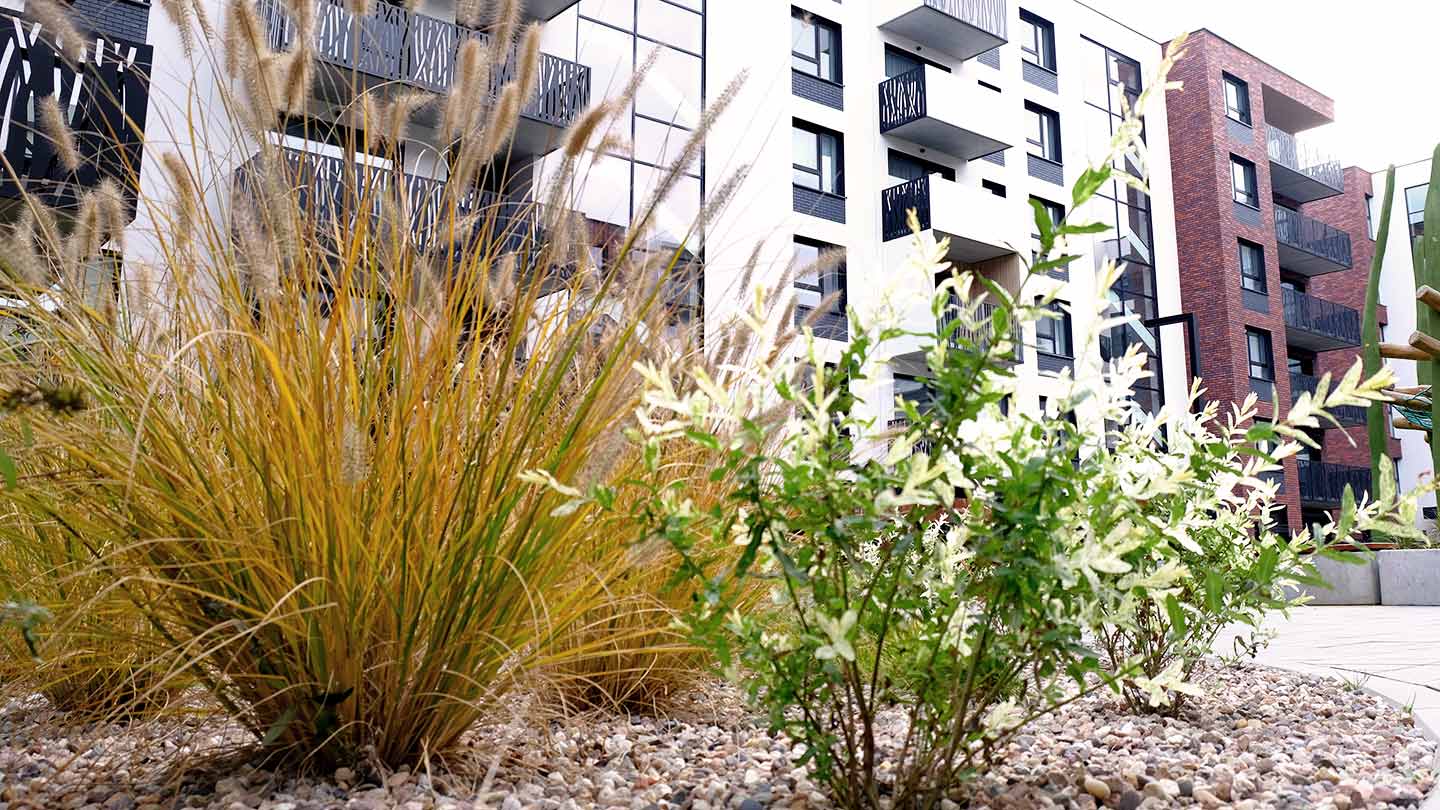 Plants in front of apartment buildings banner