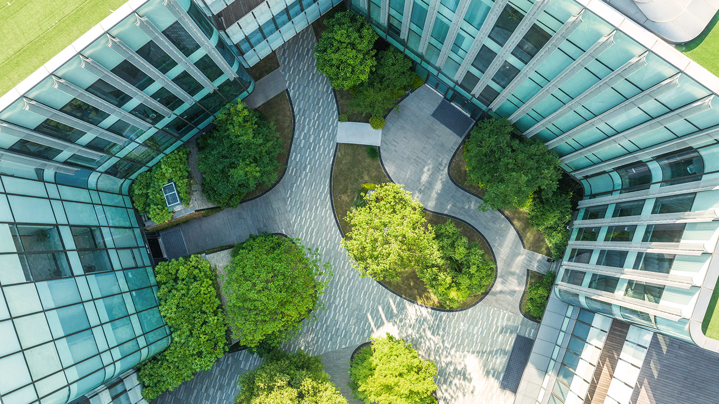 View looking down on courtyard with trees and path