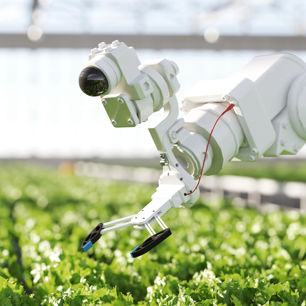 Robotic arm hovering over crops