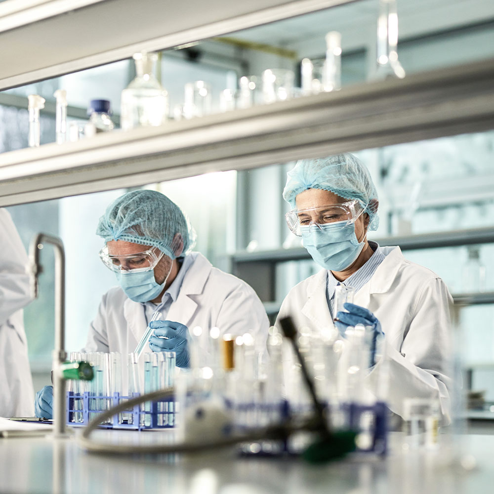 Two individuals in a lab