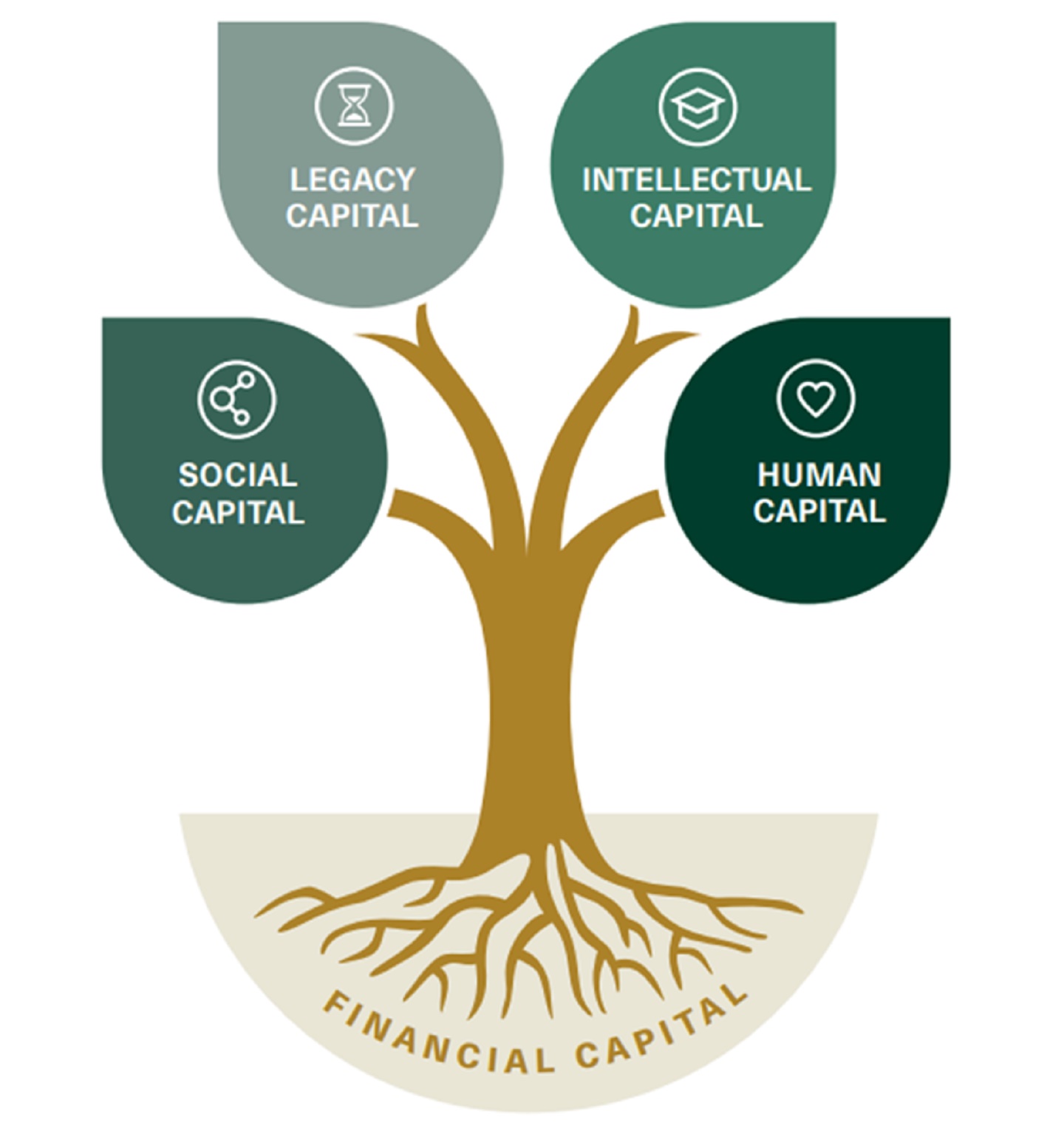 This image illustrates a tree. The roots represent financial capital.