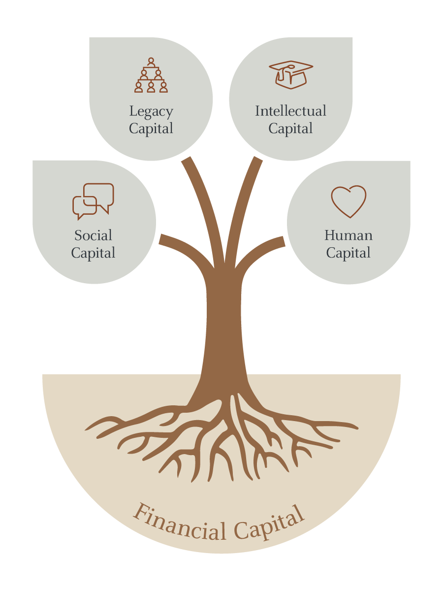 The graphic is a stylized illustration of a tree, symbolizing various forms of capital. The tree is depicted with a trunk and roots, and four leaves branching out from the top. Each leaf represents a different type of capital, and the roots represent financial capital.