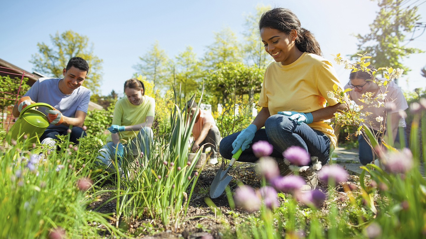 Hispanic young woman student plants flowers in community garden public park together with multiracial group youth organization volunteer charity helping cleanup and grow herbs and vegetables in residential district in summer