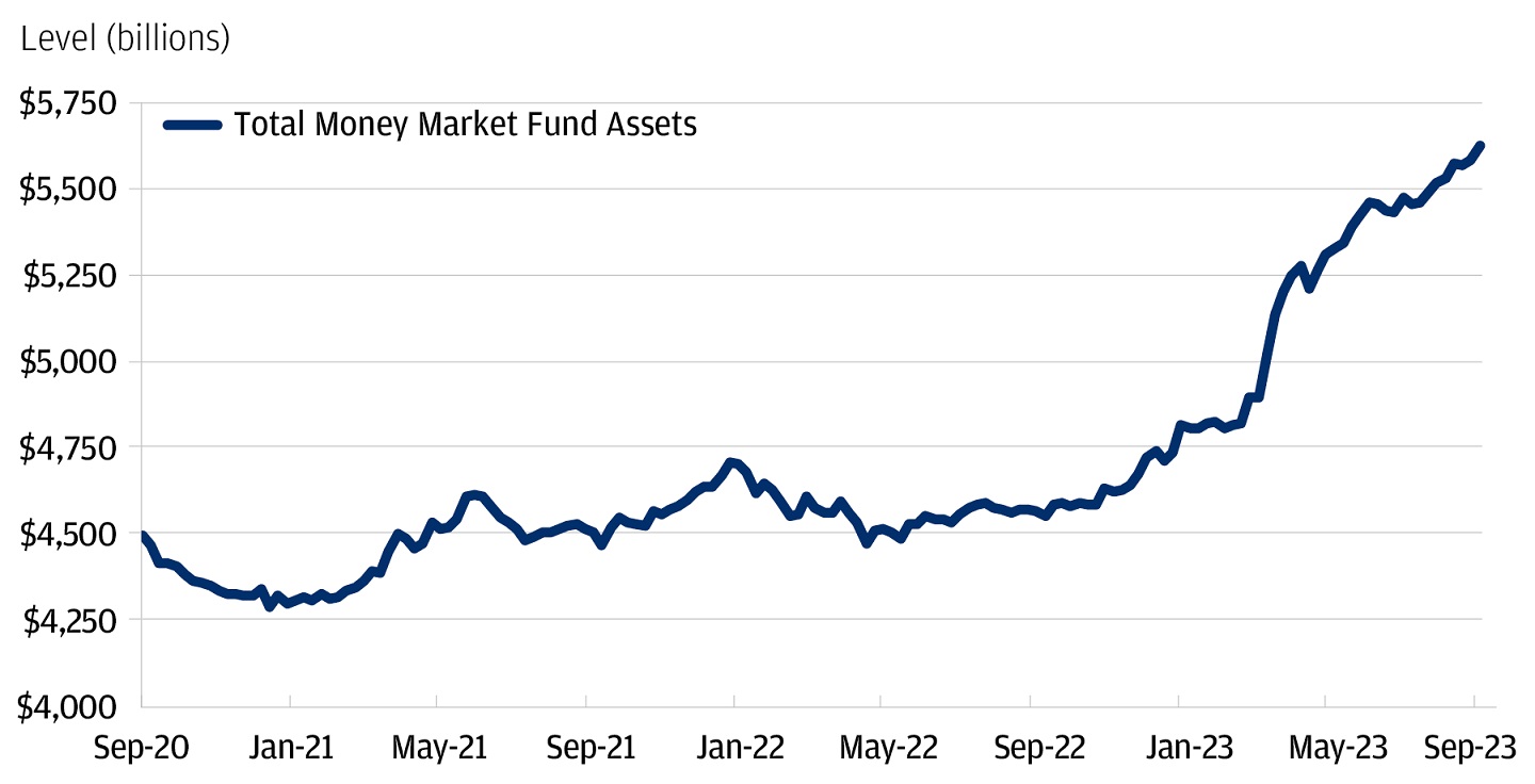 Money market fund assets have increased substantially this year