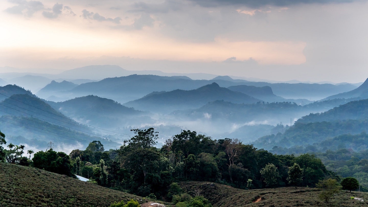 Mountain range visible in Munnar, Kerala, India. During Sun set time golden hour